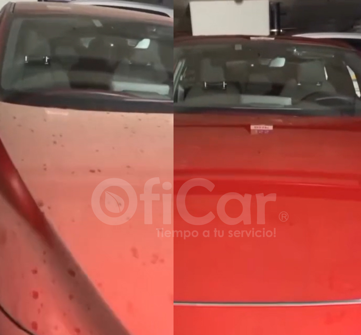 Limpieza-de-carrocería oficar