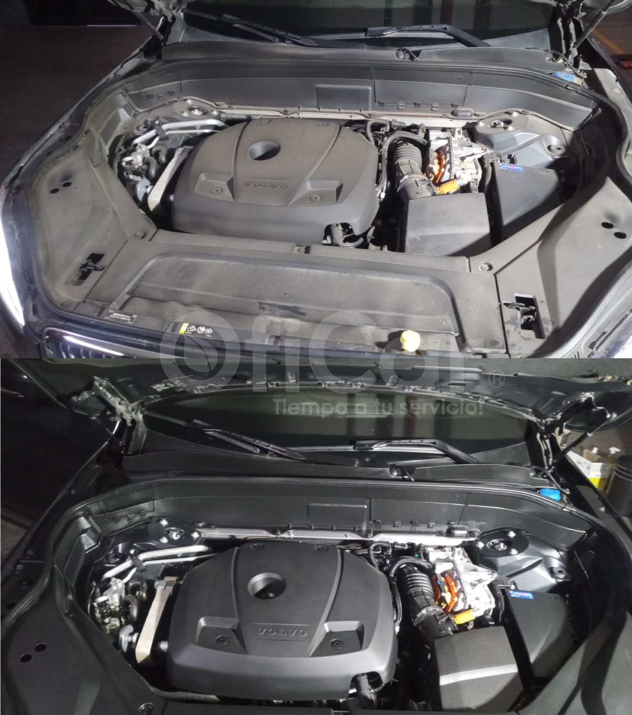 Limpieza Estética de Motor