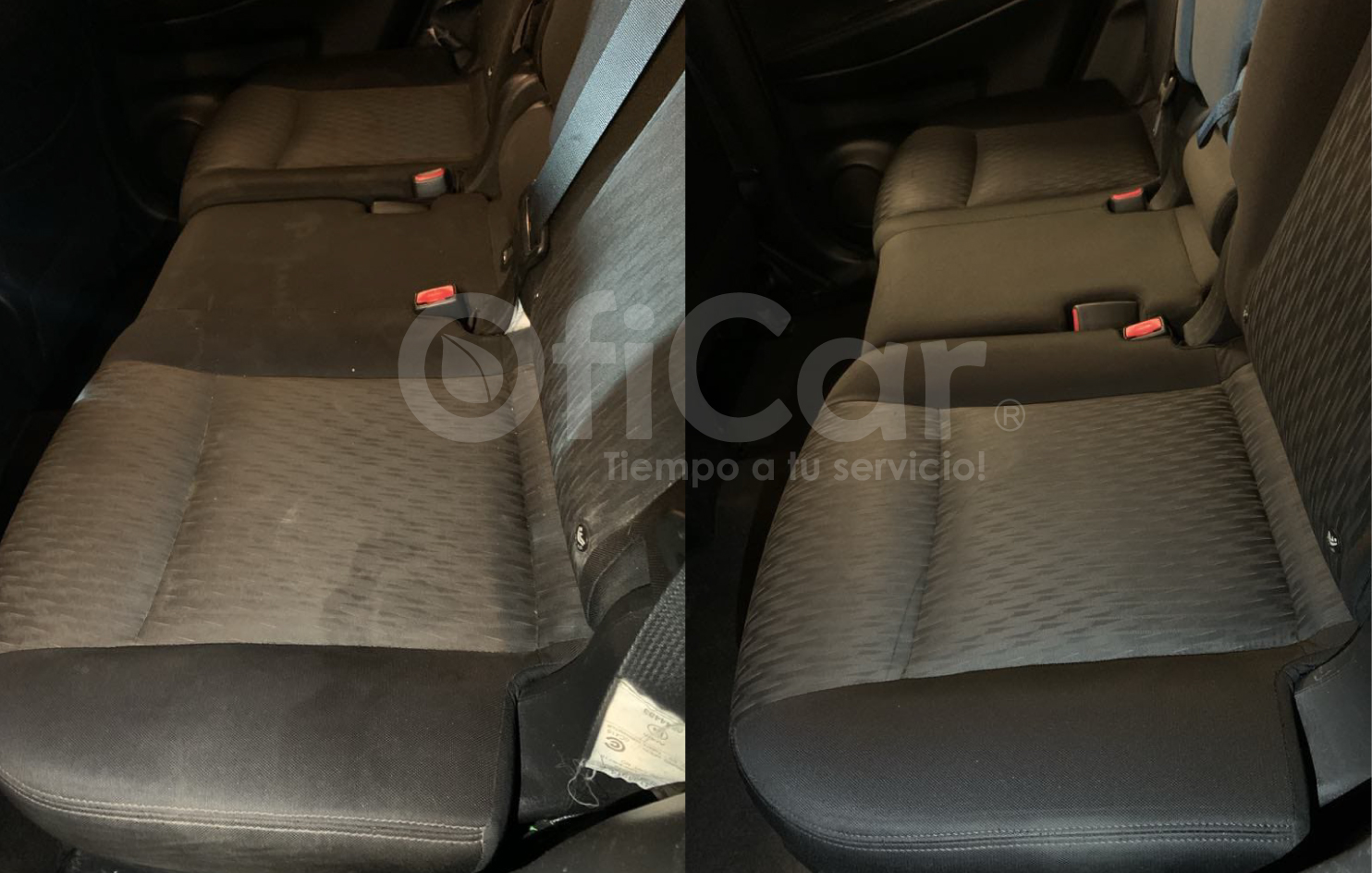 Limpieza de tapiz - oficar